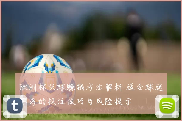欧洲杯买球赚钱方法解析 适合球迷参考的投注技巧与风险提示