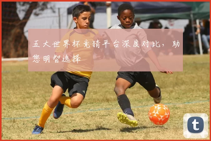 五大世界杯竞猜平台深度对比，助您明智选择