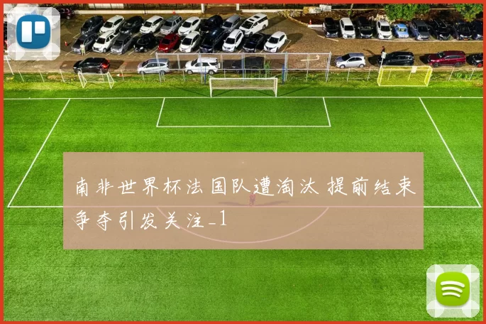 南非世界杯法国队遭淘汰 提前结束争夺引发关注_1