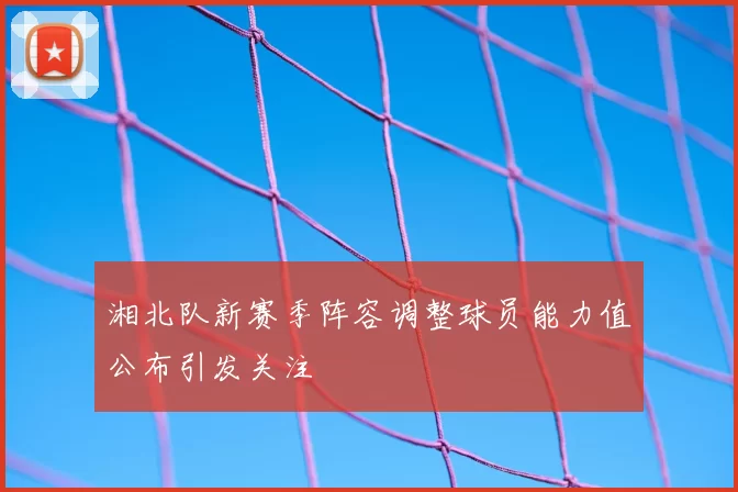 湘北队新赛季阵容调整球员能力值公布引发关注