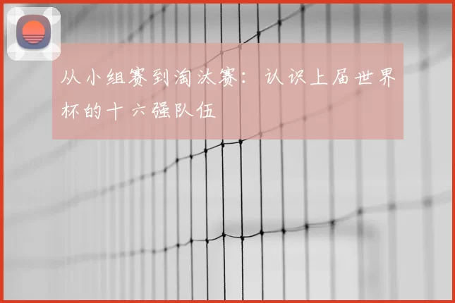 从小组赛到淘汰赛：认识上届世界杯的十六强队伍