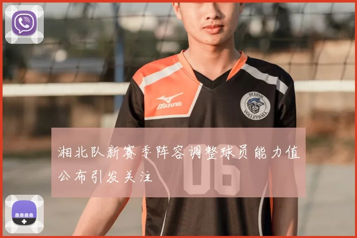 湘北队新赛季阵容调整球员能力值公布引发关注