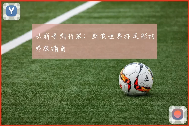 从新手到行家:新浪世界杯足彩的终极指南
