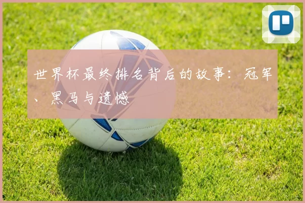 世界杯最终排名背后的故事:冠军、黑马与遗憾