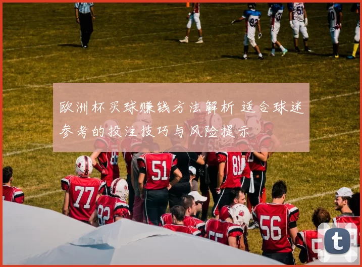 欧洲杯买球赚钱方法解析 适合球迷参考的投注技巧与风险提示