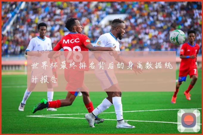 世界杯最终排名背后的身高数据统计报告